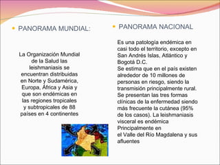 PANORAMA MUNDIAL: PANORAMA NACIONAL La Organización Mundial de la Salud las leishmaniasis se encuentran distribuidas en Norte y Sudamérica, Europa, África y Asia y que son endémicas en las regiones tropicales y subtropicales de 88 países en 4 continentes Es una patología endémica en casi todo el territorio, excepto en San Andrés Islas, Atlántico y Bogotá D.C.  Se estima que en el país existen alrededor de 10 millones de personas en riesgo, siendo la transmisión principalmente rural. Se presentan las tres formas clínicas de la enfermedad siendo más frecuente la cutánea (95% de los casos). La leishmaniasis visceral es endémica Principalmente en el Valle del Río Magdalena y sus afluentes 