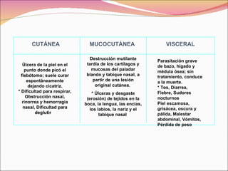 Parasitación grave de bazo, hígado y médula ósea; sin tratamiento, conduce a la muerte. * Tos, Diarrea, Fiebre, Sudores nocturnos  Piel escamosa, grisácea, oscura y pálida, Malestar abdominal, Vómitos, Pérdida de peso CUTÁNEA VISCERAL MUCOCUTÁNEA Úlcera de la piel en el punto donde picó el flebótomo; suele curar espontáneamente dejando cicatriz. * Dificultad para respirar, Obstrucción nasal, rinorrea y hemorragia nasal, Dificultad para deglutir   Destrucción mutilante tardía de los cartílagos y mucosas del paladar blando y tabique nasal, a partir de una lesión original cutánea.  * Úlceras y desgaste (erosión) de tejidos en la boca, la lengua, las encías, los labios, la nariz y el tabique nasal   