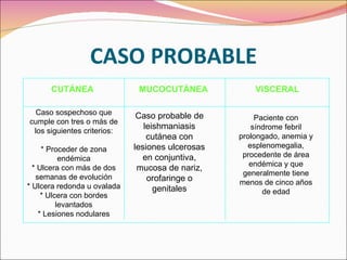 CASO PROBABLE Caso sospechoso que cumple con tres o más de los siguientes criterios: * Proceder de zona endémica * Ulcera con más de dos semanas de evolución * Ulcera redonda u ovalada * Ulcera con bordes levantados * Lesiones nodulares Caso probable de leishmaniasis cutánea con lesiones ulcerosas en conjuntiva, mucosa de nariz, orofaringe o genitales Paciente con síndrome febril prolongado, anemia y esplenomegalia, procedente de área endémica y que generalmente tiene menos de cinco años de edad CUTÁNEA VISCERAL MUCOCUTÁNEA 