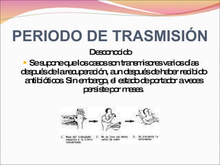 PERIODO DE TRASMISIÓN Desconocido Se supone que los casos son transmisores varios días después de la recuperación, aun después de haber recibido antibióticos. Sin embargo, el estado de portador a veces persiste por meses. 