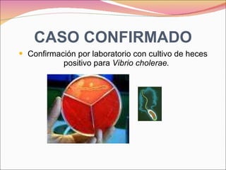 CASO CONFIRMADO Confirmación por laboratorio con cultivo de heces positivo para  Vibrio cholerae. 