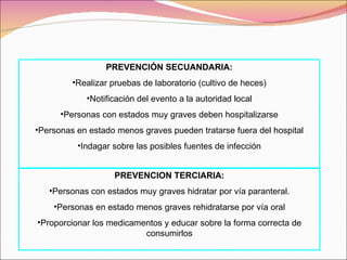 PREVENCION TERCIARIA: Personas con estados muy graves hidratar por vía paranteral. Personas en estado menos graves rehidratarse por vía oral Proporcionar los medicamentos y educar sobre la forma correcta de consumirlos PREVENCIÓN SECUANDARIA: Realizar pruebas de laboratorio (cultivo de heces) Notificación del evento a la autoridad local Personas con estados muy graves deben hospitalizarse Personas en estado menos graves pueden tratarse fuera del hospital Indagar sobre las posibles fuentes de infección 