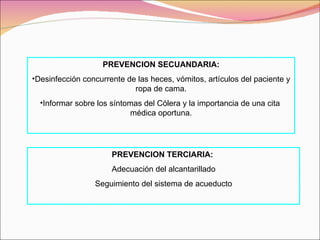 PREVENCION TERCIARIA:  Adecuación del alcantarillado Seguimiento del sistema de acueducto PREVENCION SECUANDARIA: Desinfección concurrente de las heces, vómitos, artículos del paciente y ropa de cama. Informar sobre los síntomas del Cólera y la importancia de una cita  médica oportuna. 