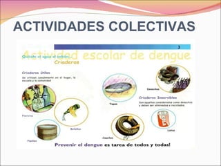 ACTIVIDADES COLECTIVAS 