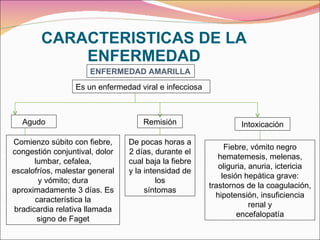 CARACTERISTICAS DE LA ENFERMEDAD ENFERMEDAD AMARILLA Es un enfermedad viral e infecciosa Agudo Remisión Intoxicación Comienzo súbito con fiebre, congestión conjuntival, dolor lumbar, cefalea, escalofríos, malestar general y vómito; dura aproximadamente 3 días. Es característica la bradicardia relativa llamada signo de Faget De pocas horas a 2 días, durante el cual baja la fiebre y la intensidad de los síntomas Fiebre, vómito negro hematemesis, melenas, oliguria, anuria, ictericia lesión hepática grave: trastornos de la coagulación, hipotensión, insuficiencia renal y encefalopatía 