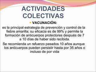 ACTIVIDADES COLECTIVAS VACUNACIÓN: es la principal estrategia de prevención y control de la fiebre amarilla; su eficacia es de 99% y permite la formación de anticuerpos protectores después de 7 a 10 días de haber sido recibida. Se recomienda un refuerzo pasados 10 años aunque los anticuerpos pueden persistir hasta por 35 años o incluso de por vida 