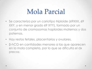 Mola Parcial
• Se caracteriza por un cariotipo triploide (69XXX, 69
  XXY, y en menor grado 69 XYY), formado por un
  conjunto de cromosomas haploides maternos y dos
  paternos.
• Hay restos fetales, placentarios y ovulares.
• β-hCG en cantidades menores a las que aparecen
  en la mola completa, por lo que se dificulta el dx
  precoz.
 