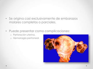 • Se origina casi exclusivamente de embarazos
  molares completos o parciales.

• Puede presentar como complicaciones:
  o Perforación uterina.
  o Hemorragia peritoneal.
 