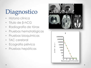 Diagnostico
•   Historia clínica
•   Titulo de β-hCG
•   Radiografía de tórax
•   Pruebas hematológicas
•   Pruebas bioquímicas
•   TAC cerebral
•   Ecografía pélvica
•   Pruebas hepáticas
 