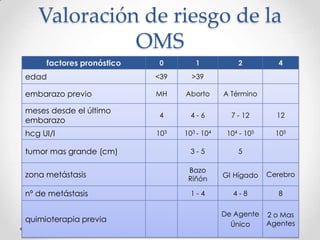 Valoración de riesgo de la
             OMS
     factores pronóstico    0       1            2           4
edad                       <39     >39

embarazo previo            MH    Aborto      A Término

meses desde el último
                            4      4-6         7 - 12       12
embarazo
hcg UI/l                   103   103 - 104    104 - 105     105

tumor mas grande (cm)              3-5           5

                                  Bazo
zona metástasis                   Riñón
                                             Gl Hígado    Cerebro

nº de metástasis                   1-4          4-8          8

                                             De Agente 2 o Mas
quimioterapia previa                                   Agentes
                                               Único
 