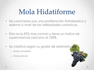 Mola Hidatiforme
• Se caracteriza por una proliferación trofoblastica y
  edema a nivel de las vellosidades corionicas.

• Esta es la ETG mas común y tiene un índice de
  supervivencia cercano al 100%.

• Se clasifica según su grado de extensión en:
   o Mola completa

   o Mola parcial
 
