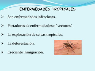 ENFERMEDADES TROPICALES
 Son enfermedades infecciosas.
 Portadores de enfermedades o “vectores”.
 La exploración de selvas tropicales.
 La deforestación.
 Creciente inmigración.
 
