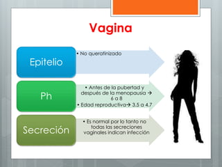 Vagina 
• No queratinizado 
Epitelio 
• Antes de la pubertad y 
después de la menopausia  
6 a 8 
• Edad reproductiva 3.5 a 4.7 
Ph 
• Es normal por lo tanto no 
todas las secreciones 
Secreción vaginales indican infección 
 