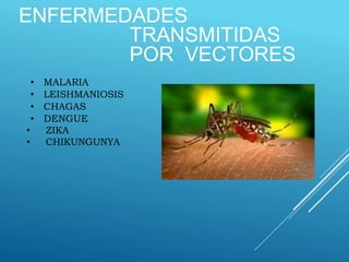 ENFERMEDADES
TRANSMITIDAS
POR VECTORES
• MALARIA
• LEISHMANIOSIS
• CHAGAS
• DENGUE
• ZIKA
• CHIKUNGUNYA
 