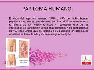 PAPILOMA HUMANO 
• El virus del papiloma humano (VPH o HPV del inglés human 
papilomavirus) son grupos diversos de virus ADN pertenecientes a 
la familia de los Papillomaviridae y representa una de las 
infecciones de transmisión sexual más comunes, y se conocen más 
de 100 tipos virales que en relación a su patogenia oncológica, se 
clasifican en tipos de alto y de bajo riesgo oncológico 
 