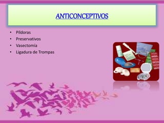 ANTICONCEPTIVOS 
• Píldoras 
• Preservativos 
• Vasectomía 
• Ligadura de Trompas 
 