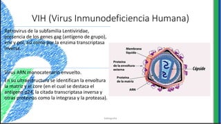 VIH (Virus Inmunodeficiencia Humana)
Retrovirus de la subfamilia Lentiviridae,
presencia de los genes gag (antígeno de grupo),
env y pol, así como por la enzima transcriptasa
inversa.
Virus ARN monocatenario envuelto.
En su ultraestructura se identifican la envoltura
la matriz y el core (en el cual se destaca el
antígeno p24, la citada transcriptasa inversa y
otras proteínas como la integrasa y la proteasa).
bibliografia
 