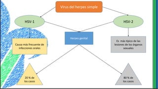 Virus del herpes simple
HSV-1 HSV-2
Causa más frecuente de
infecciones orales
Es más típico de las
lesiones de los órganos
sexuales
Herpes genital
20 % de
los casos
80 % de
los casos
 
