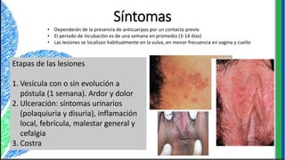 Síntomas
• Dependerán de la presencia de anticuerpos por un contacto previo
• El periodo de incubación es de una semana en promedio (3-14 días)
• Las lesiones se localizan habitualmente en la vulva, en menor frecuencia en vagina y cuello
Etapas de las lesiones
1. Vesícula con o sin evolución a
póstula (1 semana). Ardor y dolor
2. Ulceración: síntomas urinarios
(polaquiuria y disuria), inflamación
local, febrícula, malestar general y
cefalgia
3. Costra
 