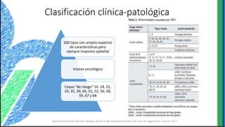Clasificación clínica-patológica
100 tipos con amplio espectro
de características pero
siempre tropismo epitelial
Interes oncológico
Cepas “de riesgo” 16, 18, 31,
33, 35, 39, 45, 51, 52, 56, 58,
59, 67 y 68
David De la Fuente-Villarreal. Biología del Virus del Papiloma Humano y técnicas de diagnóstico. Elsevier 2017
 