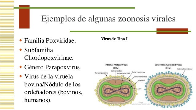 Enfermedades virales por zoonosis