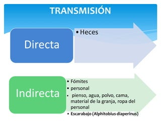 TRANSMISIÓN
•Heces
• Fómites
• personal
• pienso, agua, polvo, cama,
material de la granja, ropa del
personal
• Escarabajo (Alphitobius diaperinus)
Directa
Indirecta
 