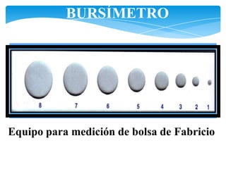 BURSÍMETRO
Equipo para medición de bolsa de Fabricio
 