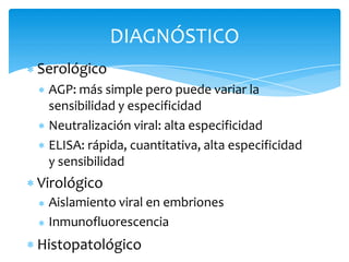 Serológico
AGP: más simple pero puede variar la
sensibilidad y especificidad
Neutralización viral: alta especificidad
ELISA: rápida, cuantitativa, alta especificidad
y sensibilidad
Virológico
Aislamiento viral en embriones
Inmunofluorescencia
Histopatológico
DIAGNÓSTICO
 