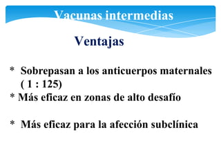 Vacunas intermedias
Ventajas
* Sobrepasan a los anticuerpos maternales
( 1 : 125)
* Más eficaz en zonas de alto desafío
* Más eficaz para la afección subclínica
 