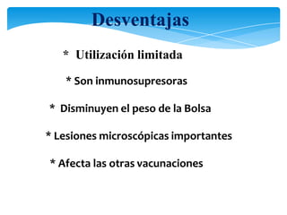 * Utilización limitada
* Son inmunosupresoras
* Disminuyen el peso de la Bolsa
* Lesiones microscópicas importantes
* Afecta las otras vacunaciones
Desventajas
 