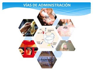 VÍAS DE ADMINISTRACIÓN
Ojo
Ala
Pico
Aspersión
Agua
Cuello
 