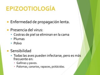  Enfermedad de propagación lenta.
 Presencia del virus:
▪ Costras de piel se eliminan en la cama
▪ Plumas
▪ Polvo
 Sensibilidad
▪ Todas las aves pueden infectarse, pero es más
frecuente en:
▪ Gallinas y pavos.
▪ Palomas, canarios, rapaces, psitácidas.
 