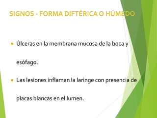  Úlceras en la membrana mucosa de la boca y
esófago.
 Las lesiones inflaman la laringe con presencia de
placas blancas en el lumen.
 