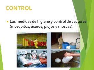  Las medidas de higiene y control de vectores
(mosquitos, ácaros, piojos y moscas).
 