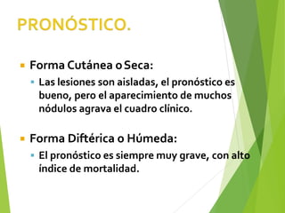  Forma Cutánea oSeca:
▪ Las lesiones son aisladas, el pronóstico es
bueno, pero el aparecimiento de muchos
nódulos agrava el cuadro clínico.
 Forma Diftérica o Húmeda:
▪ El pronóstico es siempre muy grave, con alto
índice de mortalidad.
 