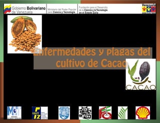 Enfermedades y plagas del
cultivo de Cacao
Sin Cacaocultores no hay chocolate...
República Bolivariana de Venezuela
Universidad del Zulia
Facultad de Agronomía
Facultad de Humanidades y Educación
 