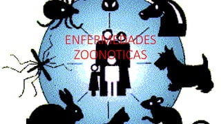 ENFERMEDADES 
ZOONOTICAS 
 