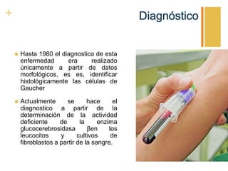 +

Diagnóstico



Hasta 1980 el diagnostico de esta
enfermedad
era
realizado
únicamente a partir de datos
morfológicos, es es, identificar
histológicamente las células de
Gaucher



Actualmente
se
hace
el
diagnostico a partir de la
determinación de la actividad
deficiente
de
la
enzima
glucocerebrosidasa
βen
los
leucocitos
y
cultivos
de
fibroblastos a partir de la sangre.

 