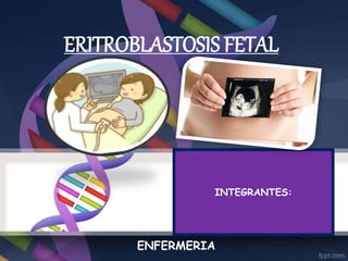 ERITROBLASTOSIS FETAL
INTEGRANTES:
ENFERMERIA
 