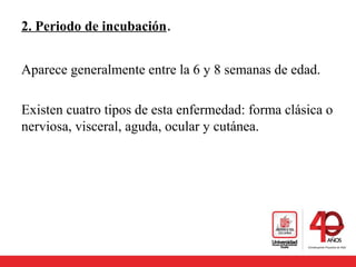 2. Periodo de incubación.
Aparece generalmente entre la 6 y 8 semanas de edad.
Existen cuatro tipos de esta enfermedad: forma clásica o
nerviosa, visceral, aguda, ocular y cutánea.
 