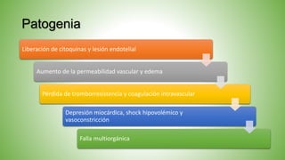 Patogenia
Liberación de citoquinas y lesión endotelial
Aumento de la permeabilidad vascular y edema
Pérdida de tromborresistencia y coagulación intravascular
Depresión miocárdica, shock hipovolémico y
vasoconstricción
Falla multiorgánica
 