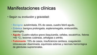 Manifestaciones clínicas
• Según su evolución y gravedad:
• Benigna: autolimitada, 5% de casos, cuadro febril agudo.
• Crónica: benigna prolongada, esplenomegalia, endocarditis,
meningitis.
• Aguda: Cuadro séptico grave (taquicardia, cefalea, escalofríos, fiebres
>40 °C), lesiones cutáneas, artralgias o artritis.
• Fulminante: 15% de casos, insuficiencia cardiaca, coagulación
intravascular diseminada, equimosis extensa y necrosis hemorrágica
de glándulas suprarrenales.
 