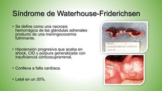 Síndrome de Waterhouse-Friderichsen
• Se define como una necrosis
hemorrágica de las glándulas adrenales
producto de una meningococemia
fulminante.
• Hipotensión progresiva que acaba en
shock, CID y púrpura generalizada con
insuficiencia córticosuprarrenal.
• Conlleva a falla cardíaca.
• Letal en un 30%.
 