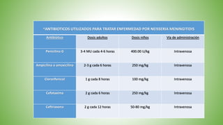 *ANTIBIOTICOS UTILIZADOS PARA TRATAR ENFERMEDAD POR NEISSERIA MENINGITIDIS
Antibiótico Dosis adultos Dosis niños Vía de administración
Penicilina G 3-4 MU cada 4-6 horas 400.00 U/kg Intravenosa
Ampicilina o amoxicilina 2-3 g cada 6 horas 250 mg/kg Intravenosa
Cloranfenicol 1 g cada 8 horas 100 mg/kg Intravenosa
Cefotaxima 2 g cada 6 horas 250 mg/kg Intravenosa
Ceftriaxona 2 g cada 12 horas 50-80 mg/kg Intravenosa
 