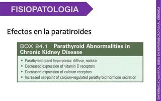 Comprehensive Overview of Mineral and Bone Disorder in Chronic Kidney ...