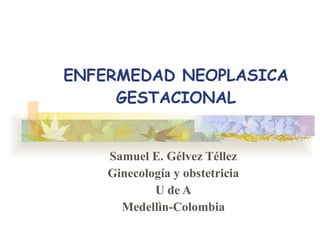 ENFERMEDAD NEOPLASICA GESTACIONAL Samuel E. Gélvez Téllez Ginecología y obstetricia U de A Medellìn-Colombia 