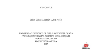 NEWCASTLE
LEIDY LORENA SERNA JAIME 710449
UNIVERSIDAD FRANCISCO DE PAULA SANTANDER OCAÑA
FACULTAD DE CIENCIAS AGRARIAS Y DEL AMBIENTE
PROGRAMA ZOOTECNIA
PRODUCCIÓN AVÍCOLA
2017
 