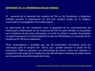 ANTIGENOS EN LA ENFERMEDAD OCULAR TIROIDEA
El aumento de la expresión del receptor de TSH en los fibroblastos y adipocitos
orbitales provocó la especulación de que este receptor puede ser el antígeno
involucrado en la patogénesis de la oftalmopatía.
La observación de una correlación entre la gravedad de las concentraciones de
anticuerpos y oftalmopatía de los receptores de TSH en suero también es compatible
con la hipótesis de que estos anticuerpos, y no sólo las células T, pueden desempeñar
un papel importante en el enfermedad de los ojos por fibroblastos y la activación de los
receptores de TSH de los adipocitos .
Otros autoantígenos s probable que sea de importancia secundaria, como los
anticuerpos para el receptor del (IGF-1) que pueden acentuar la acción de los
anticuerpos TSHR en pacientes con enfermedad de Graves. Como otro ejemplo, la
tiroglobulina (de origen de la tiroides) ha sido identificado en extractos de tejido orbital
de tres pacientes con oftalmopatía de Graves.
The TSH receptor reveals itself. Davies T, Marians R, Latif R J Clin Invest. 2002;110(2):161.
 