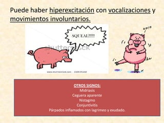 Puede haber hiperexcitación con vocalizaciones y
movimientos involuntarios.
SQUEAL!!!!!!

OTROS SIGNOS:
Midriasis
Ceguera aparente
Nistagmo
Conjuntivitis
Párpados inflamados con lagrimeo y exudado.

 
