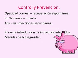 Control y Prevención:
Opacidad corneal – recuperación espontánea.
Sx Nerviosos – muerte.
Abx – vs. infecciones secundarias.
_______________________________
Prevenir introducción de individuos infectados.
Medidas de bioseguridad.

 